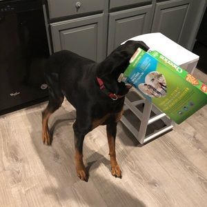 Meet your Posher, Kenny